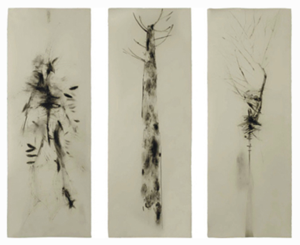 Go to exhibit page for Sandra Pani: Der Ser Arbol