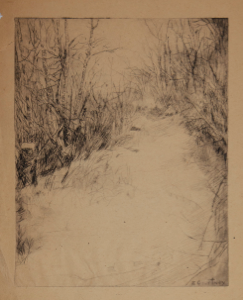 Image of Untitled (Path in the Woods)