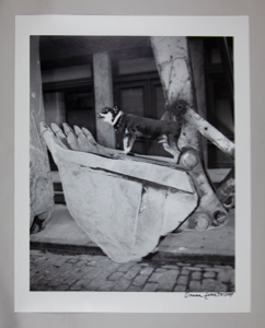 Image of Killer on Back Hoe, Leonard Street, from "Tribeca"