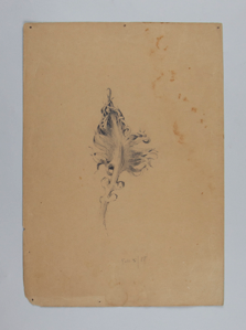 Image of Untitled (Plant Study)