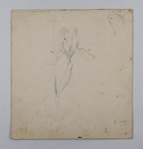 Image of Untitled (Floral Study)