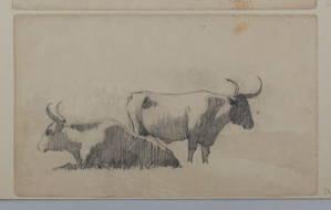 Image of Untitled (Study of Cows)