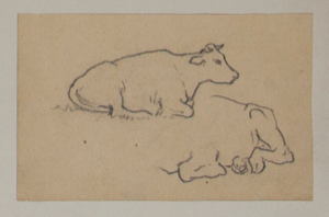 Image of Untitled (Study of Cows)