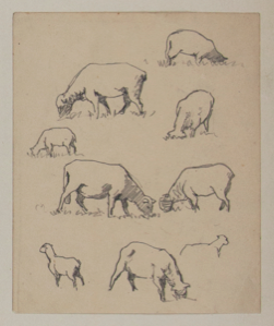 Image of Untitled (Study of Sheep)