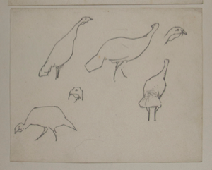 Image of Untitled (Study of Turkeys)