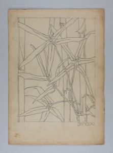 Image of Bamboo