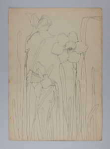 Image of Untitled (Plant Study)