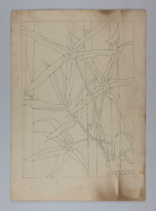 Image of Untitled (Plant Study, Bamboo)