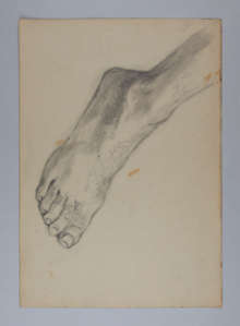 Image of Untitled (Hand and Foot Study)