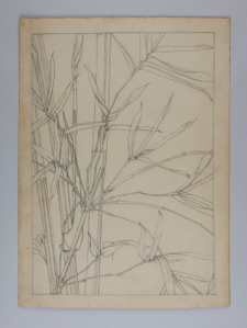 Image of Untitled (Plant Study)