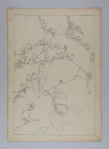 Image of Untitled (Plant Study)