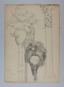 Image of Untitled (Plant Study, Palms)