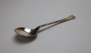 Image of Silver Spoon