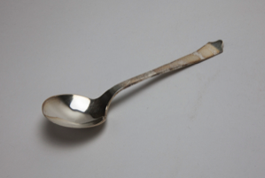 Image of Silver Spoon