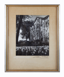 Image of Untitled (Building with Daffodils)