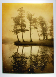 Image of Spring Trees and Reflection