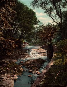 Image of Waterfall in Wade Park, Cleveland