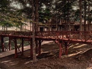 Image of Rustic Bridge, Chautauqua, New York