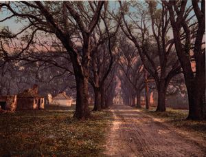 Image of The Hermitage, Savannah