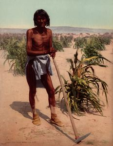 Image of The Man with the Hoe