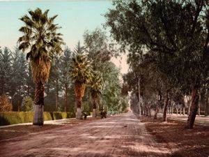 Image of California. Magnolia Avenue, East, Riverside.