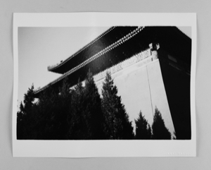 Image of China: Buildings and Trees