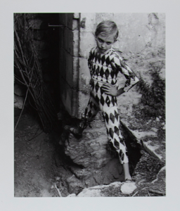 Image of Harlequin, Arles