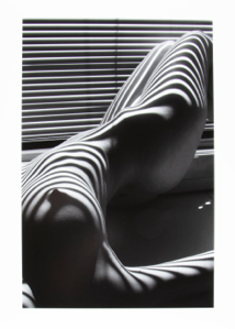 Image of Zebra Nude, New York