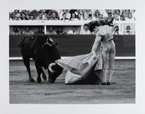 Image of Matador Enrique Ponce, France