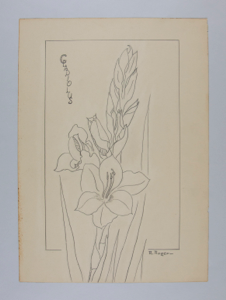 Image of Gladiolus