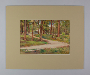 Image of Woodland Scene