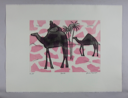 Image of Camels