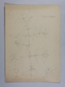 Image of Untitled (Plant Study, Syringa)