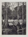 Image of Atchafalaya Swamp, Louisiana,