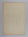 Image of Untitled (Plant Study)