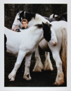 Image of Boy with Piebalds, Ballinasloe Horsefair, Galway, from "Selected Images of Ireland"