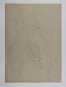 Image of Untitled (in verso), preliminary sketch for floral design -Verso