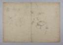 Image of Untitled (Floral Study) (Two-sided, recto & verso)