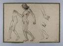 Image of Untitled (nude study)