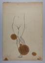 Image of Untitled (Female Nude Study)