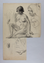 Image of Untitled (Female Nude Study)