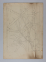 Image of Untitled (Plant Study, Bamboo)