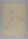 Image of Untitled (Plant Study, Tulips)