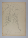 Image of Untitled (Plant Study, Wisteria)