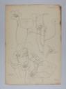 Image of Untitled (Plant Study, Nasturtium)