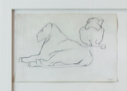 Image of Untitled (study of lions)