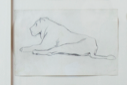 Image of Untitled (study of a lion)