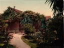 Image of Rose-Covered Cottage, Pasadena.