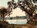 Image of Florida. Tomoka River. The King's Ferry.