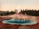 Image of Castle Geyser, Yellowstone National Park